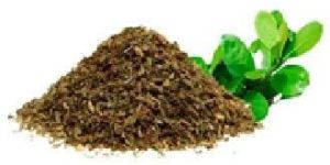 Yerba Mate Extract
