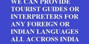 Translation Services