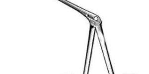 Micro Ear Forcep