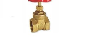 Brass Gate Valve