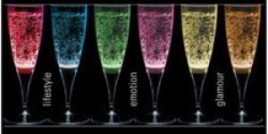 Champagne Flute Glasses