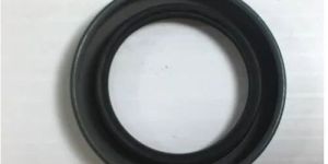 SKF Oil Seal