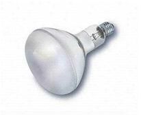 LED Bulb