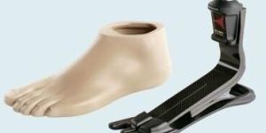 Modular Prosthetic Foot