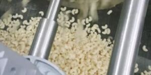 Pasta Extruder Machine