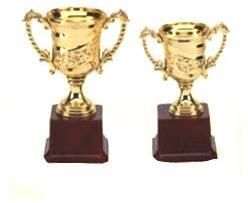Sport Award Trophy