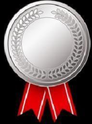 Silver Medal