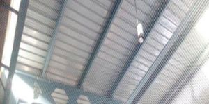 Industrial Bird Control Services