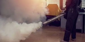 Mosquitoes Fogging Treatment Service