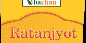 Ratan Jyot Oil