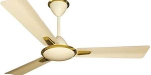 Ceiling Fan