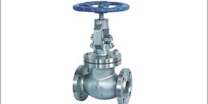 Globe Valve