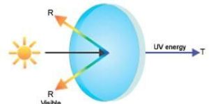 UV Transmission Filter