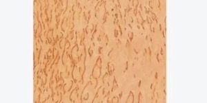 Birch Burls Plywood Sheet