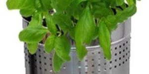 Stainless Steel Planters