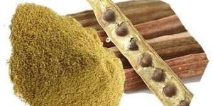 Moringa Fruit Powder