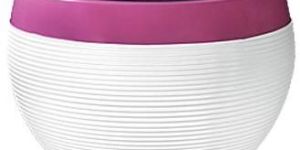 Ringstone Ring Planter