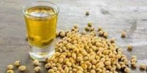 Soya Bean Oil