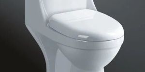 Ceramic Western Toilet