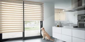 Roller Blinds