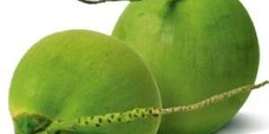 Fresh Tender Coconuts