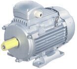 Energy Efficient A.C. Induction Motors