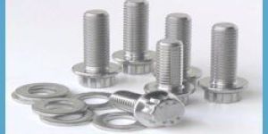 Stainless Steel Bolts