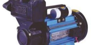 Self Priming Regenerative Pumps