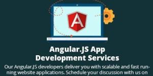 Angularjs Development Services