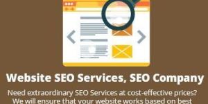 Professional SEO Services