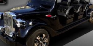 Marvella Electric Luxarious Buggies