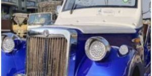 VINTAGE OFFROAD GOLF CART