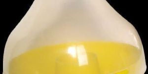 Mac Phill Fruit Fly Pheromone Trap