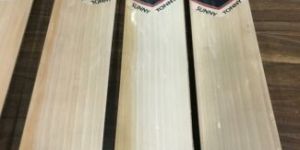 SG English Willow Cricket Bats