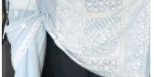 Pista Blue Lucknowi Chikan Kari Georgette Saree