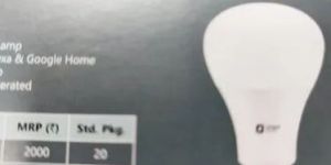 Orient LED Bulb