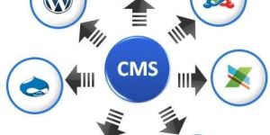 Content Management System