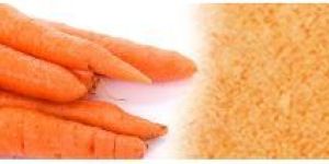 Dehydrated Carrot Powder