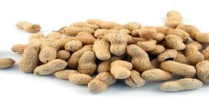 Groundnuts