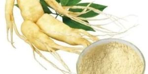 Ginseng Extract
