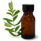 Tea Tree Oil
