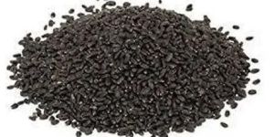 Organic Basil Seeds