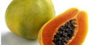 Papaya