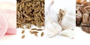 Roasted Fried Flavours