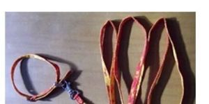 Dog Harness