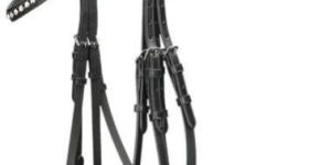 Horse Bridle