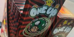 Mushroom Chocolate Bar