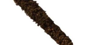 250gm Dried Moss Stick