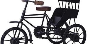 Wrought Iron Cycle Rickshaw