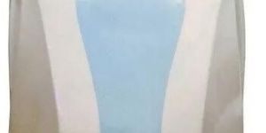 Electric Storage Water Heater